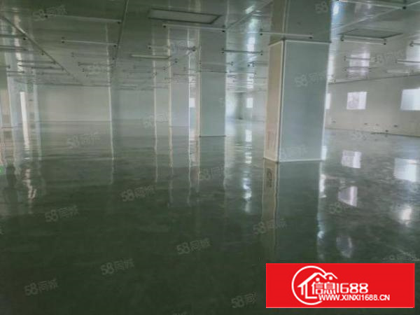 凤岗原房东无尘车间厂房出租2600平，无需转让费，下手要快