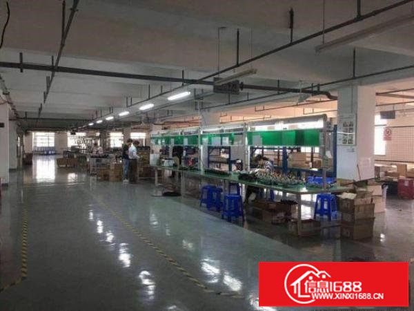 龙岗中心城750平带精装修厂房出租