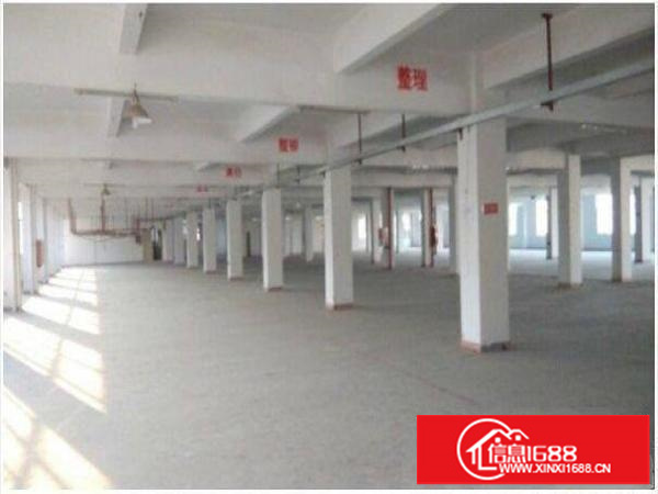 房东直租，可开房租电费发票