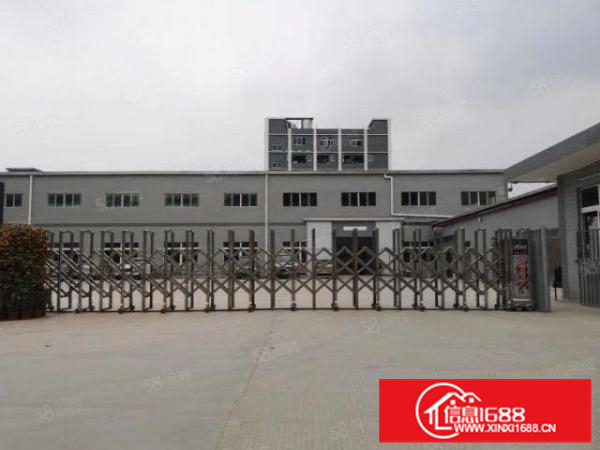 中高12米，大良凤翔独院3500方厂房，形象好，带独立办公