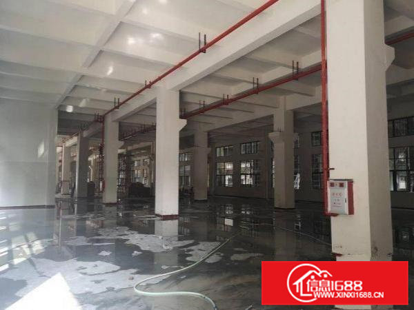 新四新出全新厂房原房东1500平方300起分