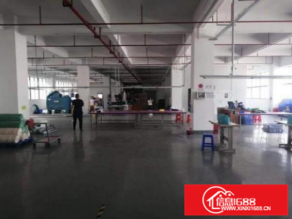 出租桥头镇岭头村新出2楼整层2180平方带精装修办公室