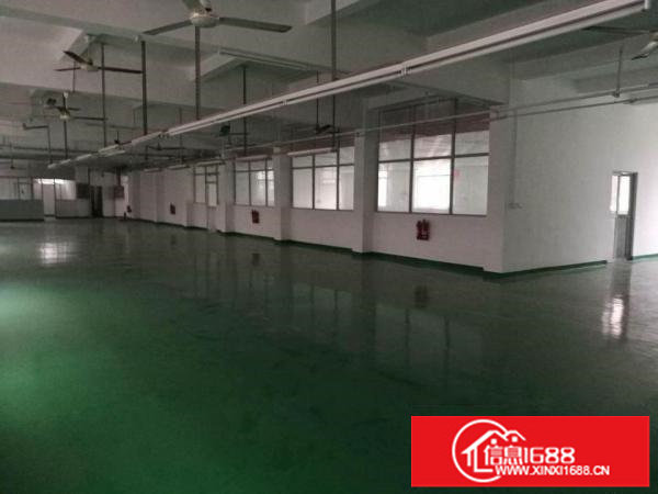 龙岗中心城厂房出租2000平方有消防带红本水电齐全