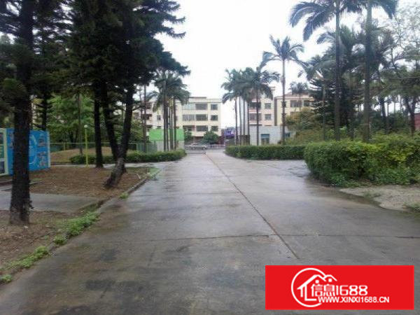 东莞市横沥镇月塘工业区标准独院分租三楼