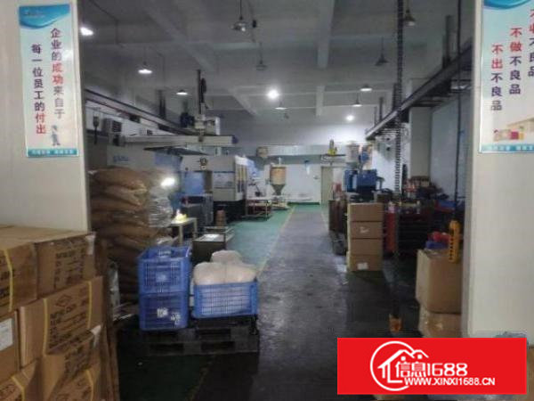 清溪三中村空出精装修标准厂房一楼厂房1000平方