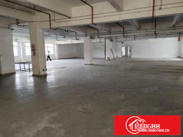 龙岗宝龙原房东8000平米仓库出租带卸货平台