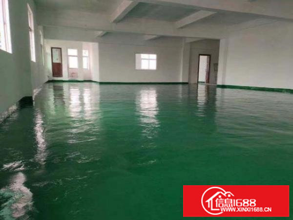 坪山碧岭新出无尘车间589平无转让费无公摊可办环评