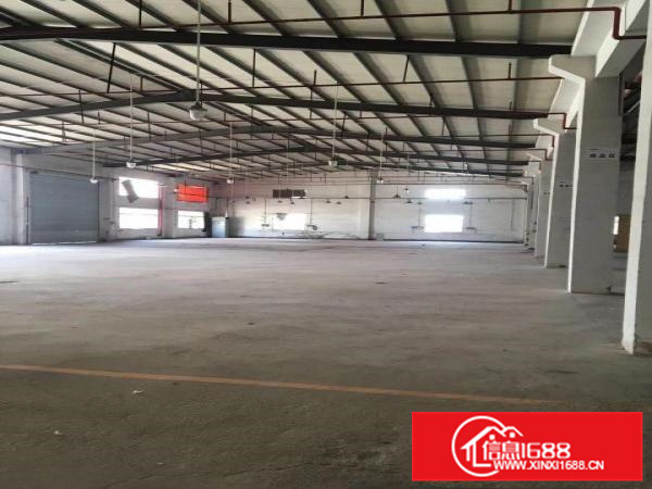 惠阳秋长新塘新出标准独院加钢构16000平米独院可分租