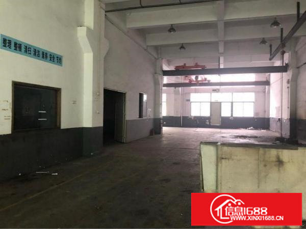 楼村花园式厂房新出一三四楼每层700平方带装修招租