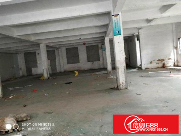 松岗洪桥头2300平单层大厂房出租，有红本，公摊少