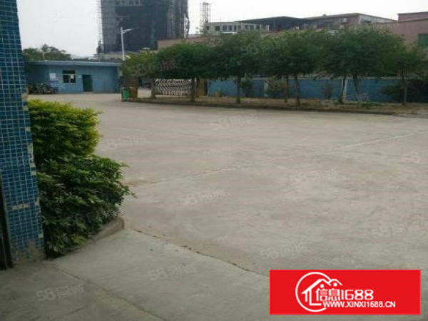 田心近高速单层钢结构厂房1000平方出租水电齐全