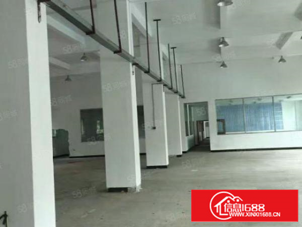 新村新出450平米标准1招租