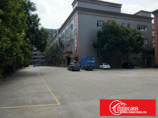 13500平方高端产业园招租临近松山湖水电到位有装修可办环评