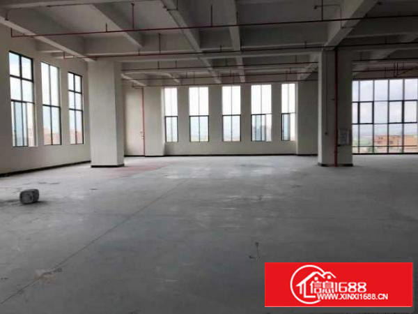 （出租）房东直招东莞厚街大道独栋独院厂房（非中介）