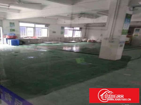 平湖白泥坑工业区1000平方精装修配送厂房出租，现成冷库