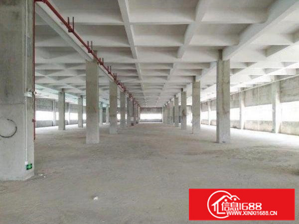 东坑角社标准厂房一楼1100平