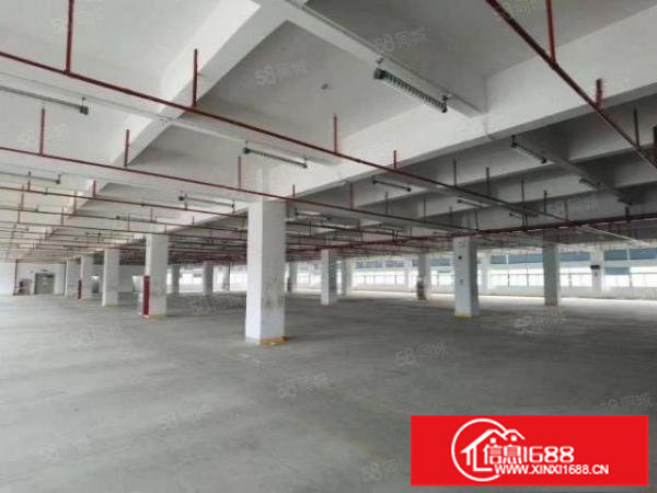 坪山区坑梓先进制造产业园2万平方米带政府补贴出租100平起分