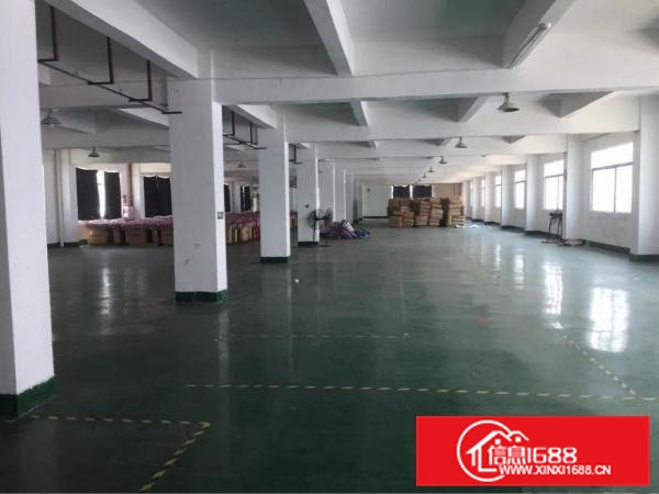 企石镇新出高端大气原房东独院（可分租）厂房