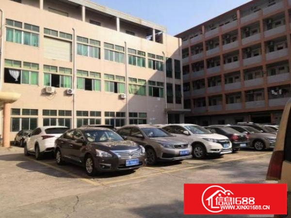 清溪荔横村一楼1300厂房招租水电齐全豪华装修