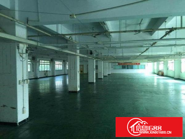 五和地铁口4楼1300平带装修适合贸易办公淘宝等