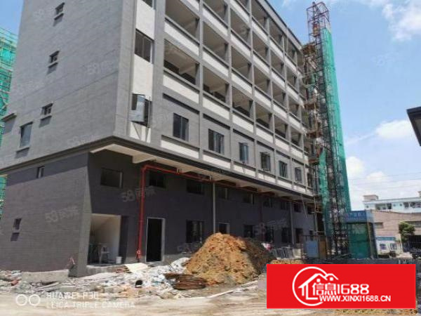 原房东一楼9米高带牛腿独门独院厂房出租工业用地环评包过