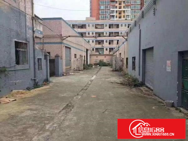 横岗新出独院钢构厂房8000平出租（可分租）