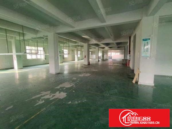 寮步富竹山标准独院厂房1000平方出租，空间超大，交通便利