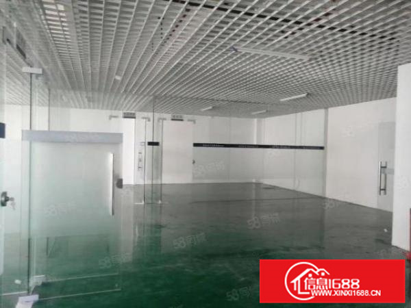 杏坛智富园楼上1560方厂房带装修