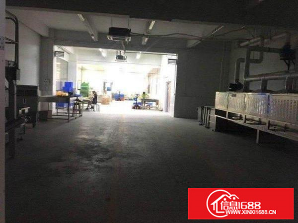 塘吓路口原房东标准一楼800平方厂房出租主线已到位