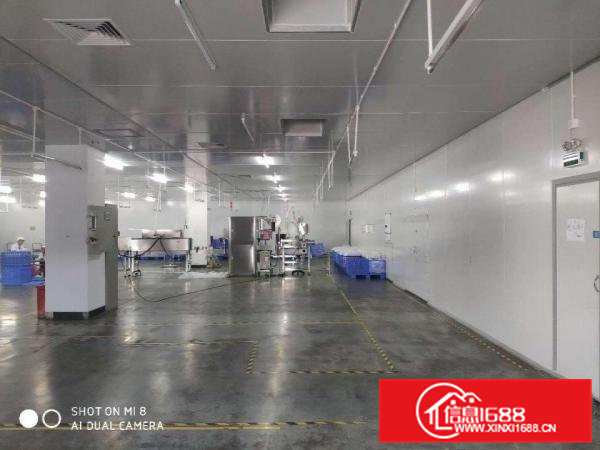 广东省东莞市高埗镇原房东标准厂房出租