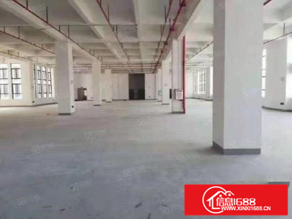 大朗新马连全新6万平方厂房出租大小分租价格好谈能办环评