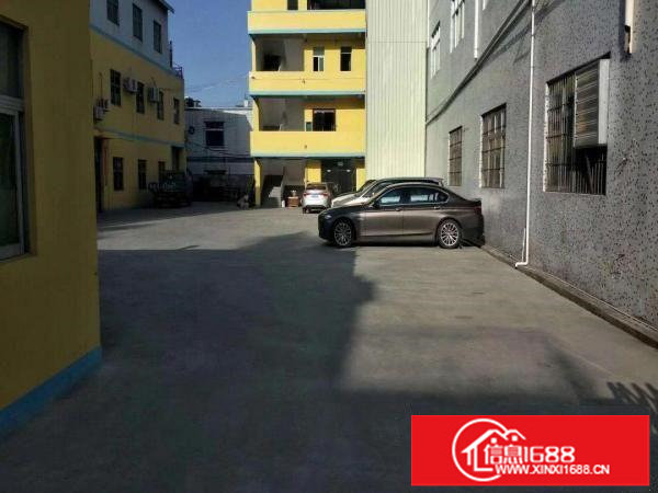 坪山碧岭经典小独院独院4000平现成水电出租