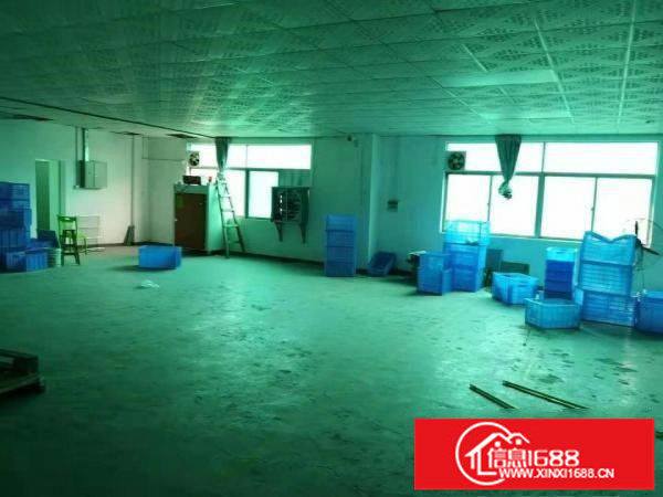 横岗园山精装修900平米独立一层出租