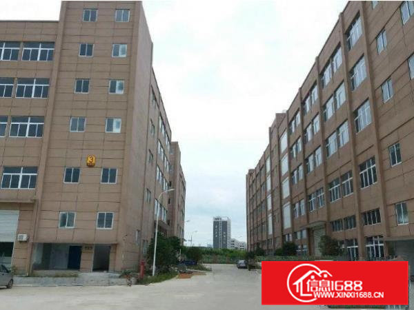 企石镇高端大气形象好楼上厂房980平，带喷淋消防