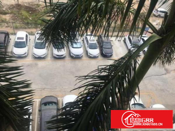 光明薯天埔地铁口站500米厂房仓库办公出租