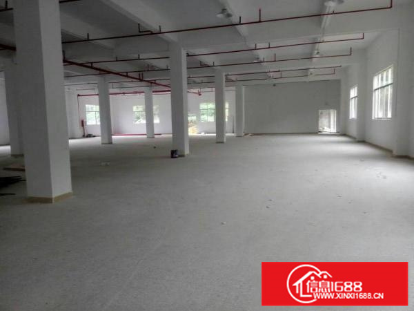 《惠》惠州大亚湾附近有大量大小厂房出租免中介费