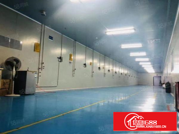 凤岗临深红本厂房12000平方出租