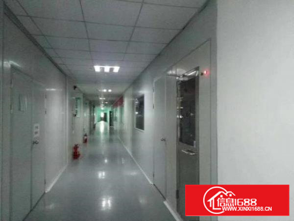 现成无尘车间厂房整层2600平米