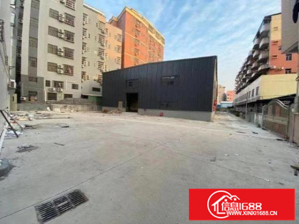 大朗1500平8米高全新独院火爆招租