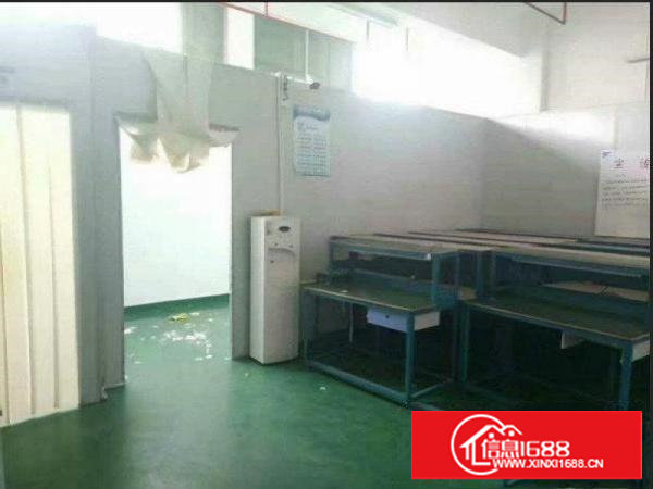 塘厦沙湖一楼668平方厂房出租现成主线