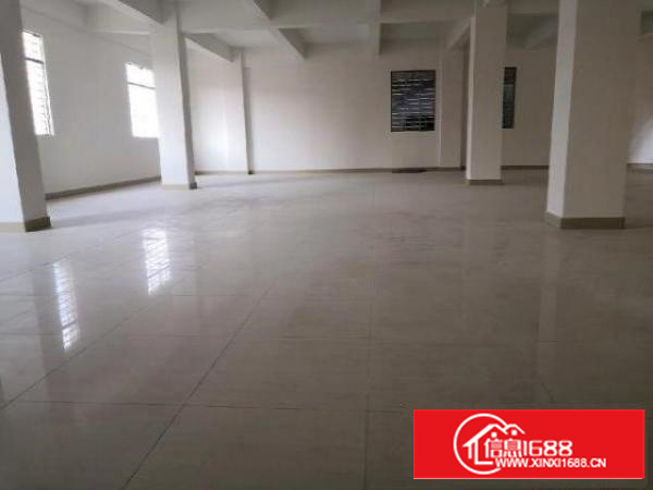 新建厂房，环城路及高速出入口附近，交通便利