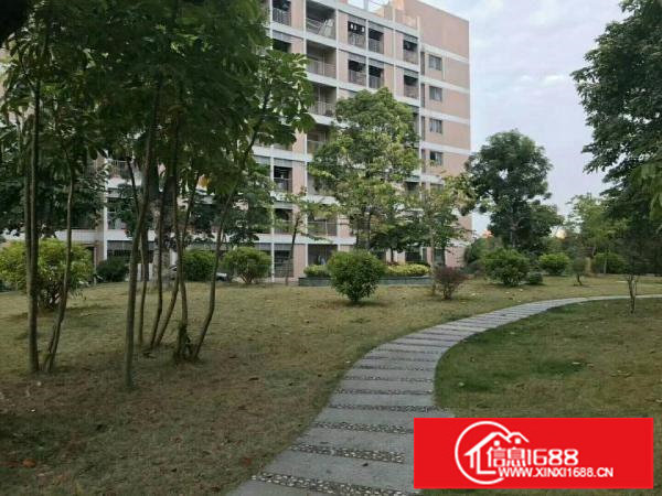 龙华大浪豪华装修楼上1800平方办公厂房，拎包入住