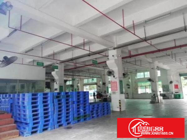 平湖华南城边独院厂房，可以分租