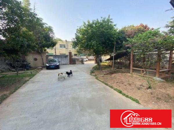 大朗镇新出小面积原房东独门独院单一层钢构厂房2000平方