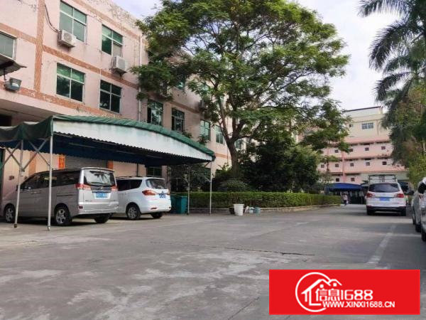 常平标准厂房出租交通方便形象靓女