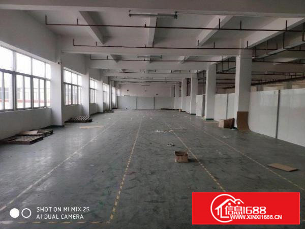 谢岗楼上单层带喷淋厂房出租