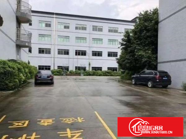 丹灶祥泰路出租1楼1800平厂房水电齐全