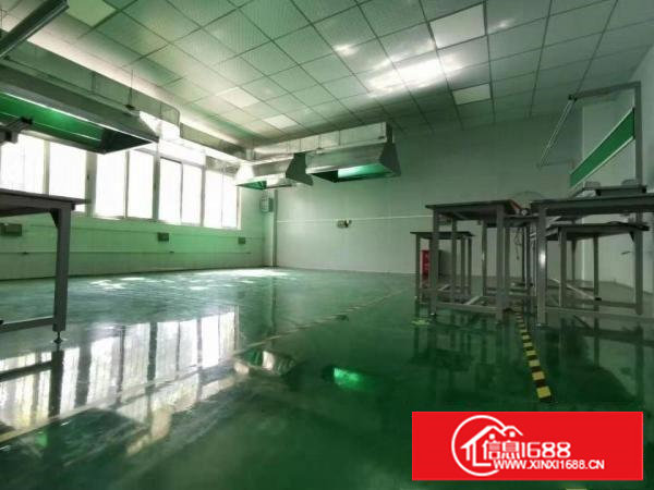 塘厦石鼓独院厂房4000平方带有办公装修出租