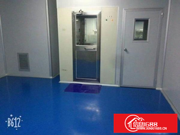 惠阳新圩东风新出1600平千级无尘车间低价出租