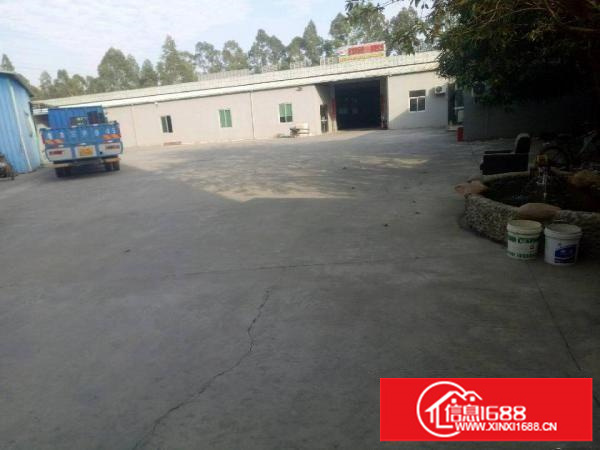 坪地北通道边六米滴水钢构厂房3000平米